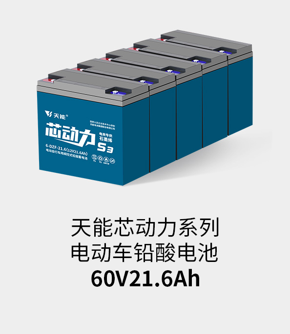 华体会官方网页版-华体会(中国)电池60v20ah